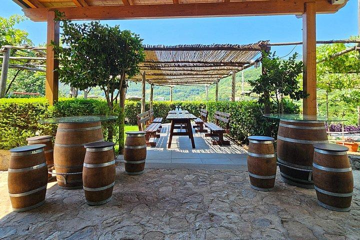 Wine tasting on the hills of the Amalfi Coast