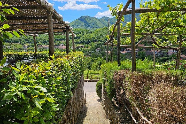 Wine tasting on the hills of the Amalfi Coast