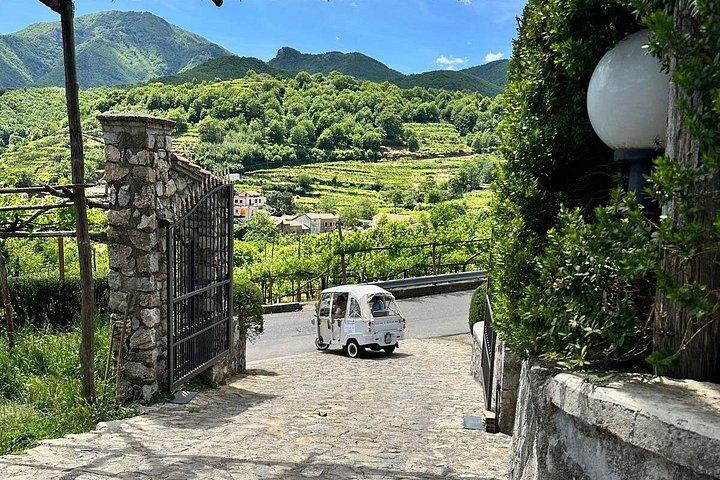 Wine tasting on the hills of the Amalfi Coast