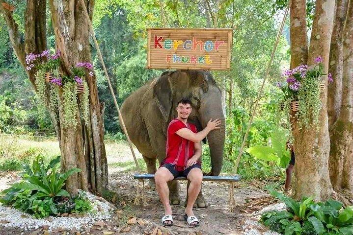 Half day visit Elephant Sanctuary Phuket (NO RIDING)