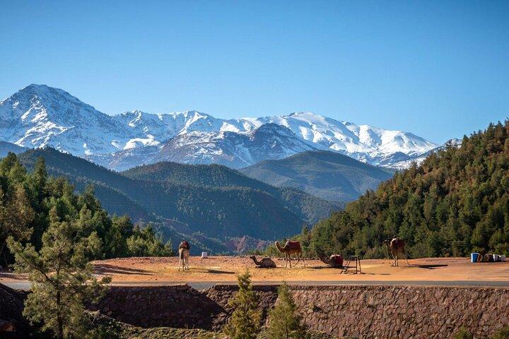オウリカ渓谷のアトラス山脈で終日観光