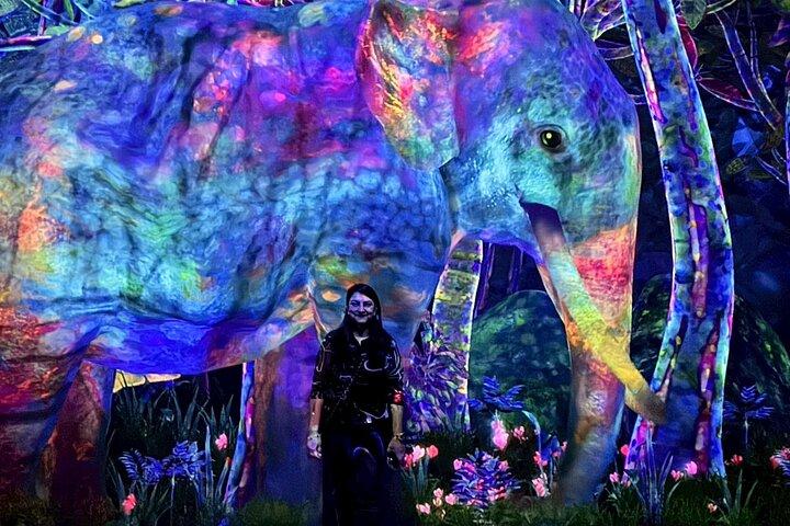 Tóquio : tour guiado por teamLab Planets & Toyosu Fish Market