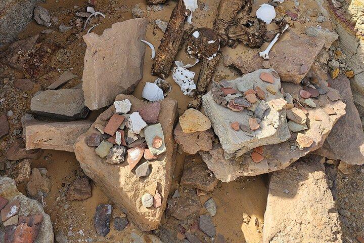 2 dagar Desert Odyssey Camping bland Egyptens naturliga underverk