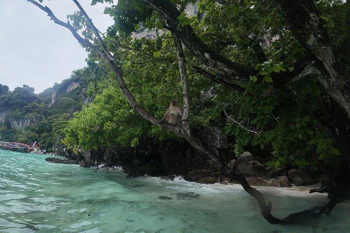 Phi Phi Islands Premium Speedboot Avontuurlijke Dagtour vanuit Phuket