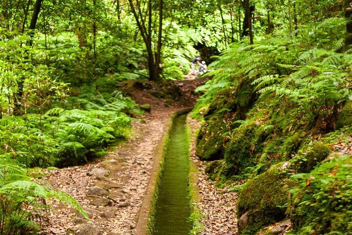 Levada do Rei PR18 caminata panorámica en Madeira - Servicio de traslado