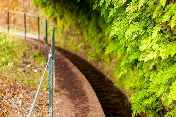 Levada do Rei PR18 caminata panorámica en Madeira - Servicio de traslado