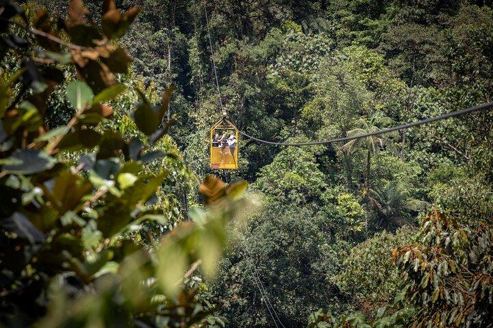 Mindo Cloud Forest Experience EL PERSONALIZADO desde Quito
