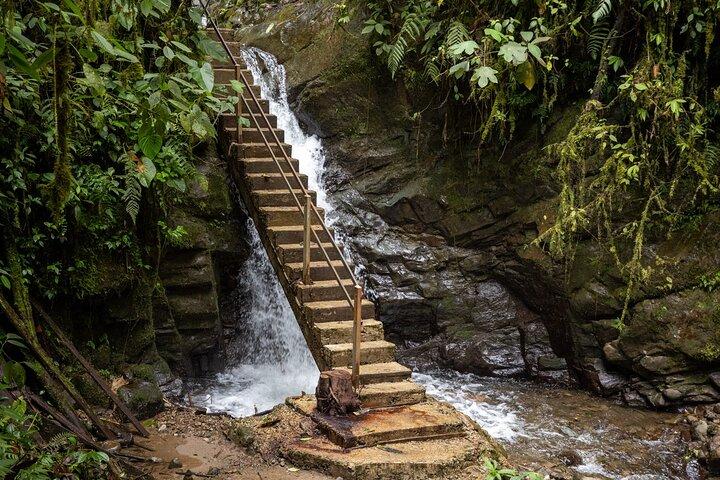 Mindo Cloud Forest Experience EL PERSONALIZADO desde Quito