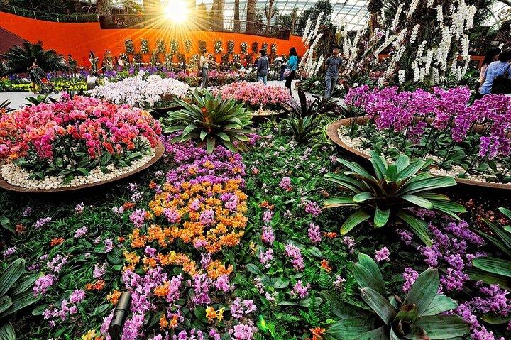 Gardens by the Bay E - Entrada con Flower Dome + CF Singapore
