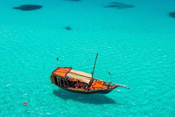 Privado/Compartiendo : Explora la isla Mnemba con un dhow