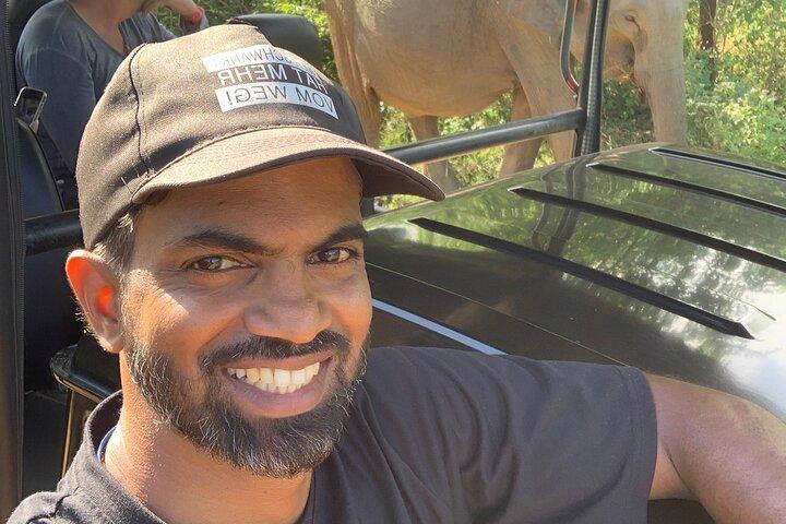 Udawalawa Nationalpark Safari Ahungalla, Kosgoda, Bentota, Beruwala