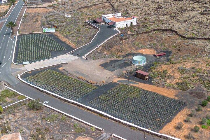 フエルテベントゥーラ : 北海岸の探索