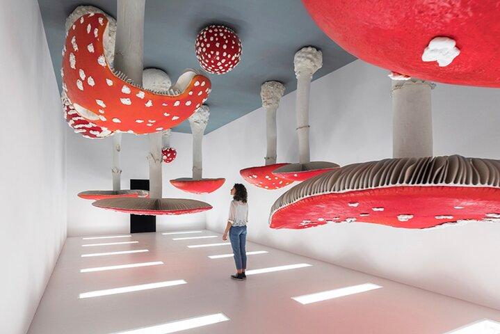 Visita guiada de dia inteiro aos principais museus de Milão com almoço