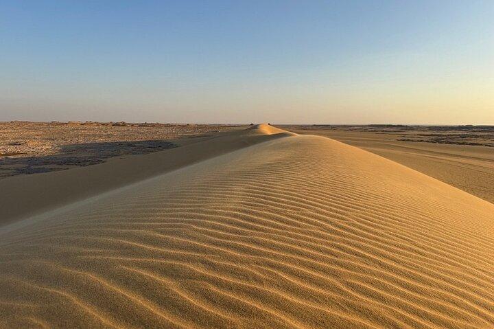 White Desert & Black Desert 2 - Visite privée d'une journée avec camping