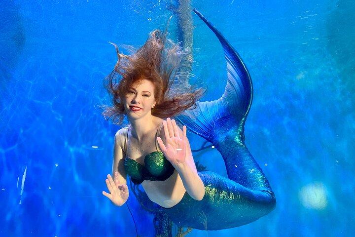 Mertailor's Mermaid Aquarium Begegnungsminuten vom Crystal River