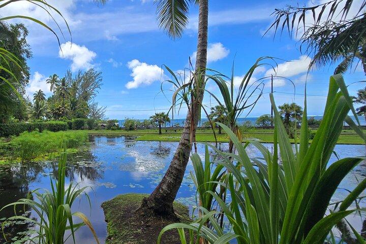 Privates ganztägiges Tahiti — Grotte, Gärten & Panoramen