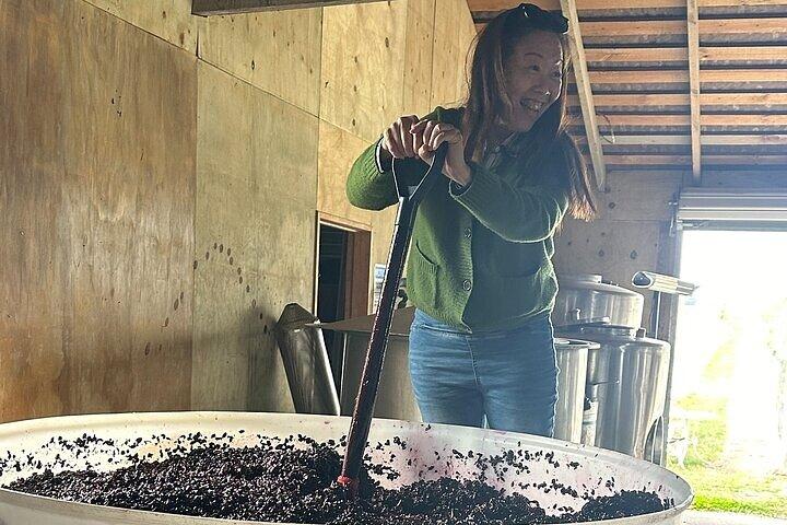 Chef's Private Otago Gourmet's 2 Day Wine Tour de Queenstown