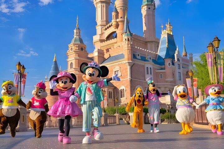 東京ディズニーランド1日パス（プライベートホテル送迎付き）