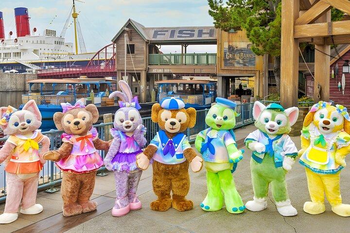 東京ディズニーランド1日パス（プライベートホテル送迎付き）