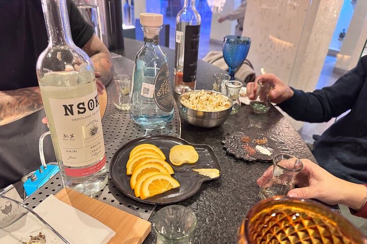 Mezcal Tasting Mexico City and Cocktail Masterclass