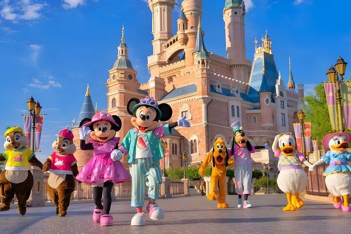 Tokyo Disneyland Ticket & optionaler Tokyo Subway Pass