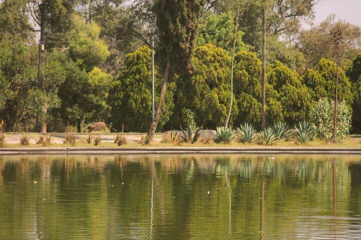 Picnic on Lake Chapultepec