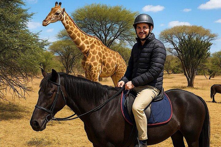 Safari a caballo desde Johannesburgo