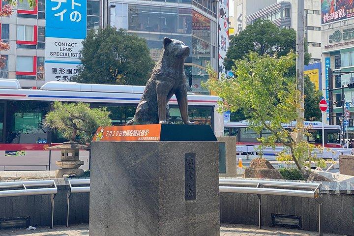 東京マイカーツアー：見どころを見て、自分のペースで