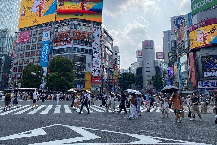 東京マイカーツアー：見どころを見て、自分のペースで