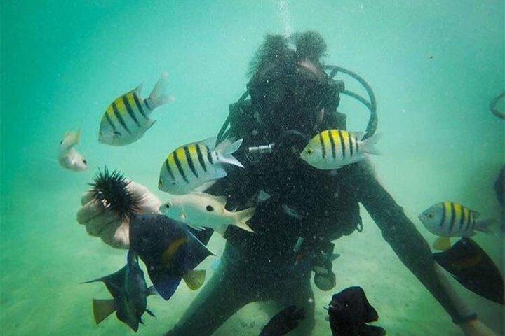Dubai Jumeirah Divulgação submarina guiada