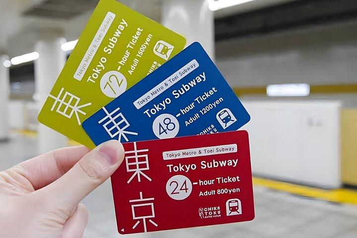 Tokyo Disneyland Ticket & optionaler Tokyo Subway Pass