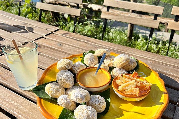 レモン畑を巡るツアーでレモンの小径を味わう