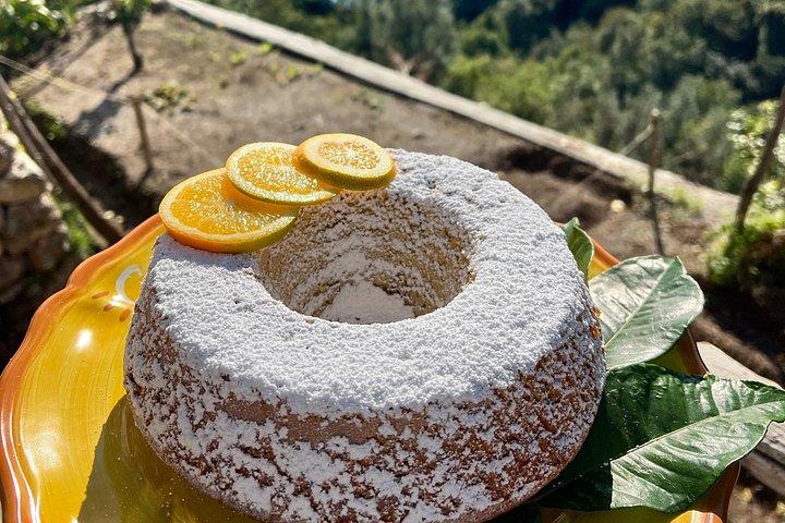 レモン畑を巡るツアーでレモンの小径を味わう