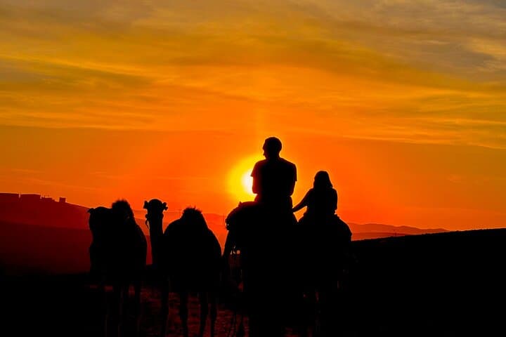 Marrakech Agafay Desert Sunset Camel Ride and Dinner Show