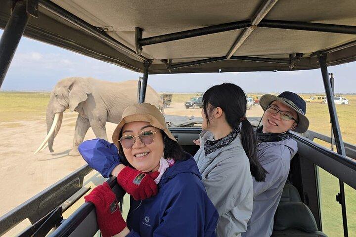 Amboseli National Park 4WD Tour saindo de Nairobi
