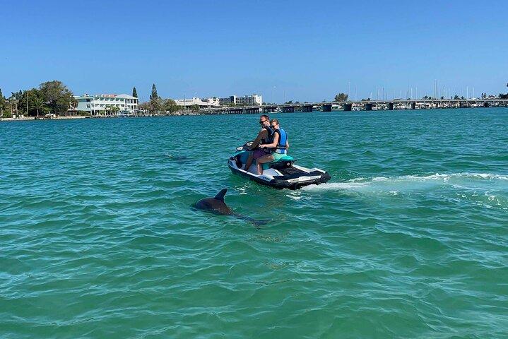 St. Pete 2 - Stunden geführtes Jetski-Abenteuer | Delfine, Inseln