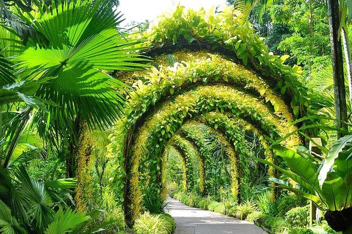 Billets Singapour National Orchid Garden