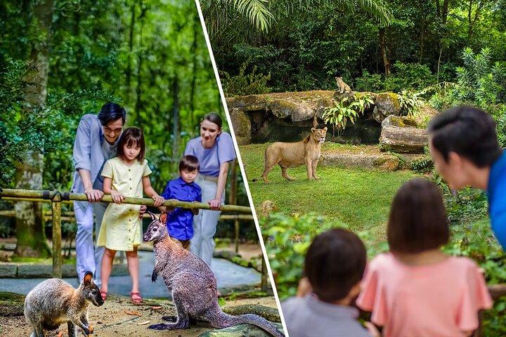 2 - Park Combo Night Safari + Singapore Zoo Tickets