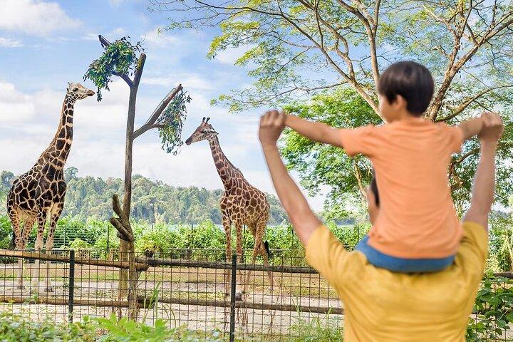 2 - パークコンボナイトサファリ+シンガポール動物園チケット