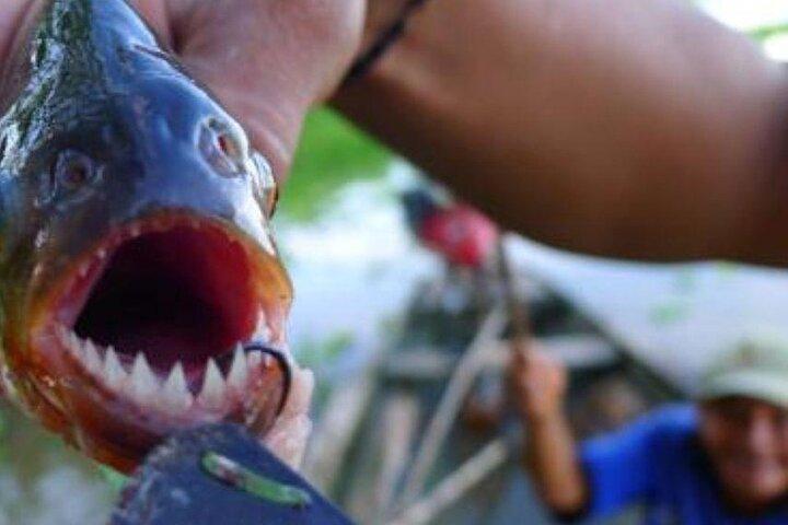 タンボパタでピラニアフィッシング
