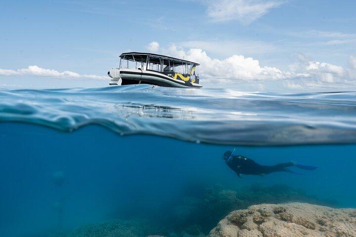 Great Barrier Reef Kleine Gruppe Schnorchelabenteuer