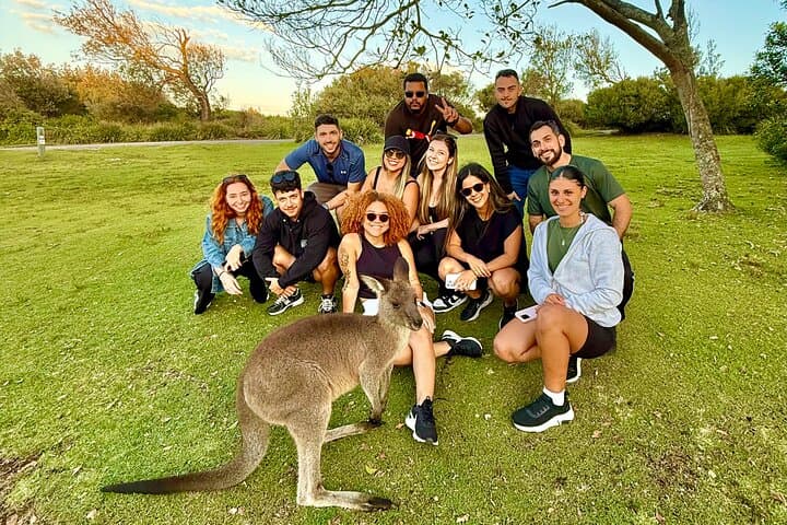 Jervis Bay Highlights Tour – Small Group Experience Scenic Coast