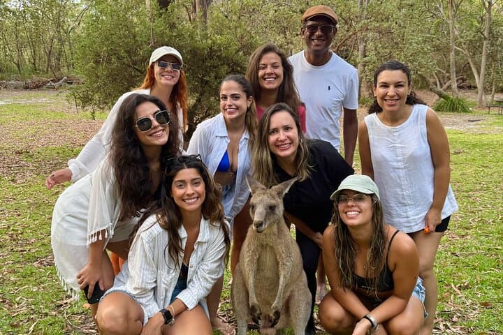 Jervis Bay Highlights Tour – Small Group Experience Scenic Coast