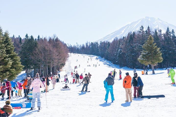 Mt. Fuji Skiing And Onsen Experience 1 Day Tour