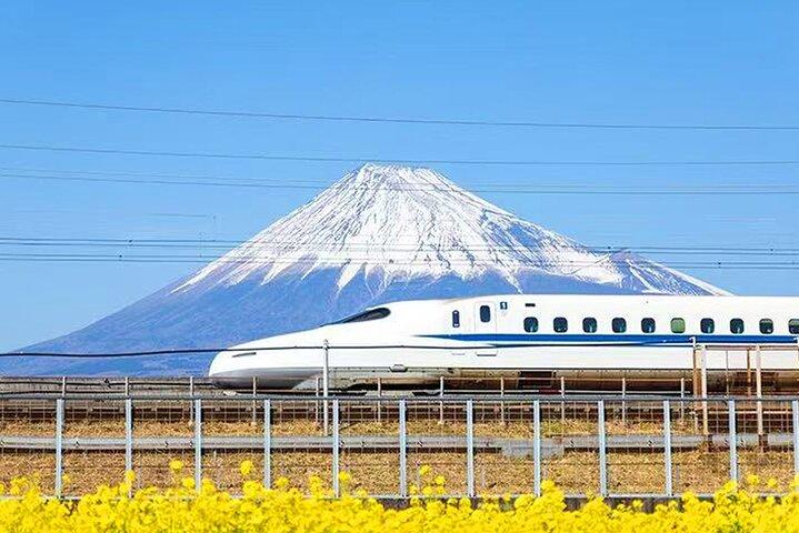 Excursión de un día al Monte Fuji y Hakone con regreso al tren bala