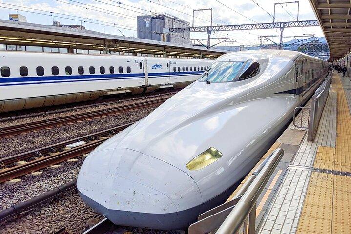 Excursión de un día al Monte Fuji y Hakone con regreso al tren bala