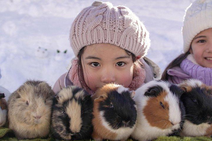 名古屋から：日本アルプスの雪の日＆白川郷