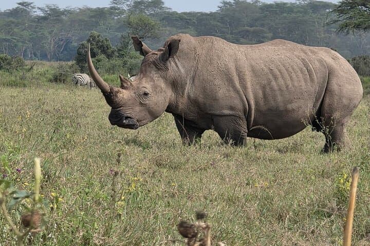 4 days Kenya National Park Multi Day Tour