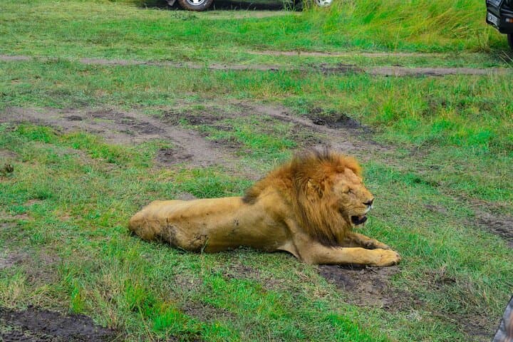 3 Days Mara Masai Group Joining Budget Safari