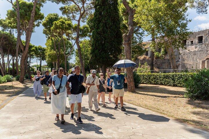 Desde Nápoles : Excursión en tierra a Pompeya para cruceros con guía